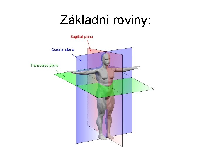 Základní roviny: 