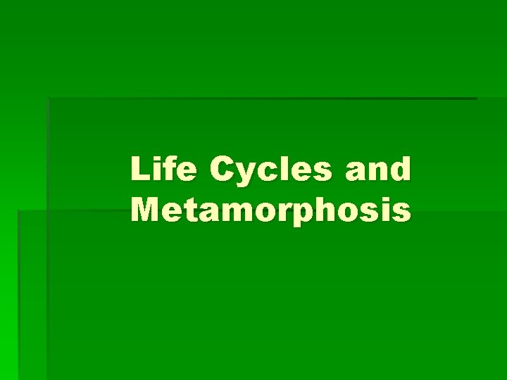 Life Cycles and Metamorphosis 