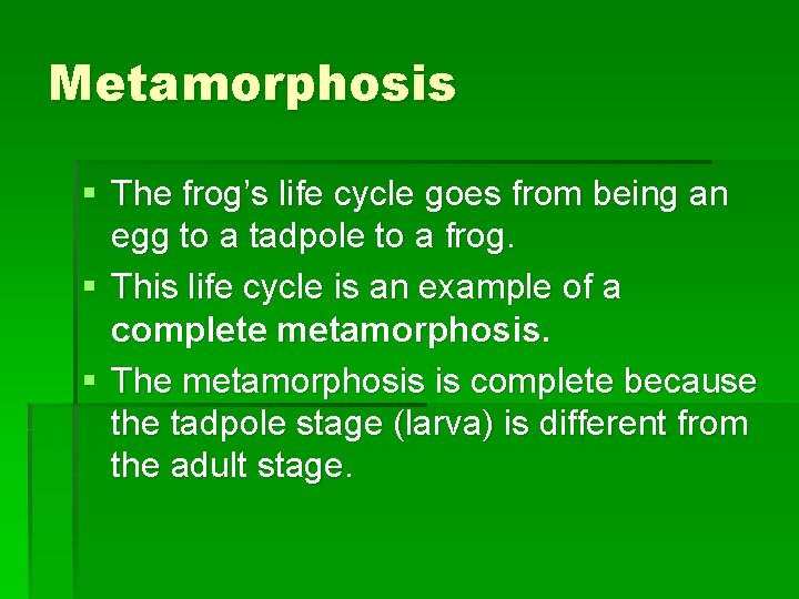 Metamorphosis § The frog’s life cycle goes from being an egg to a tadpole