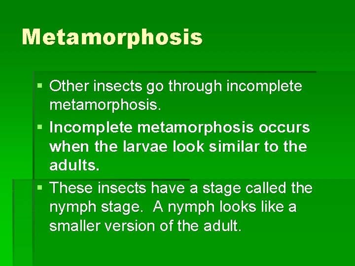 Metamorphosis § Other insects go through incomplete metamorphosis. § Incomplete metamorphosis occurs when the