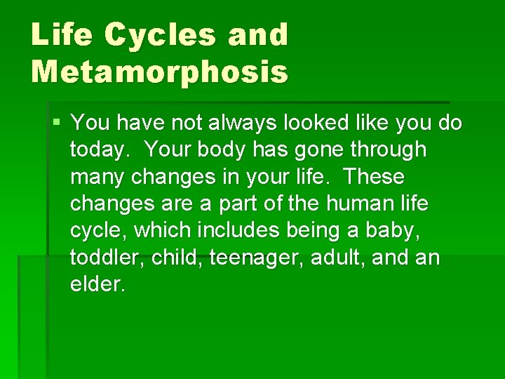 Life Cycles and Metamorphosis § You have not always looked like you do today.