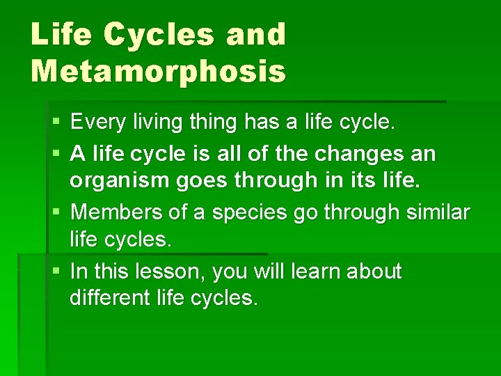 Life Cycles and Metamorphosis § Every living thing has a life cycle. § A