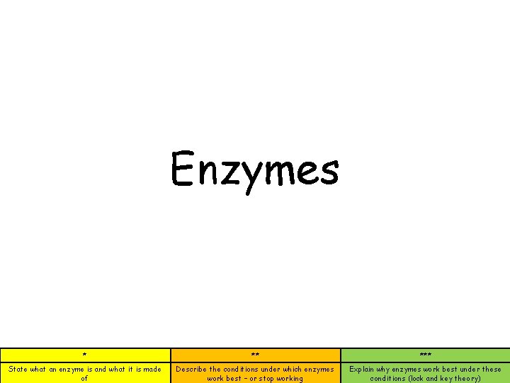 Enzymes * ** *** State what an enzyme is and what it is made