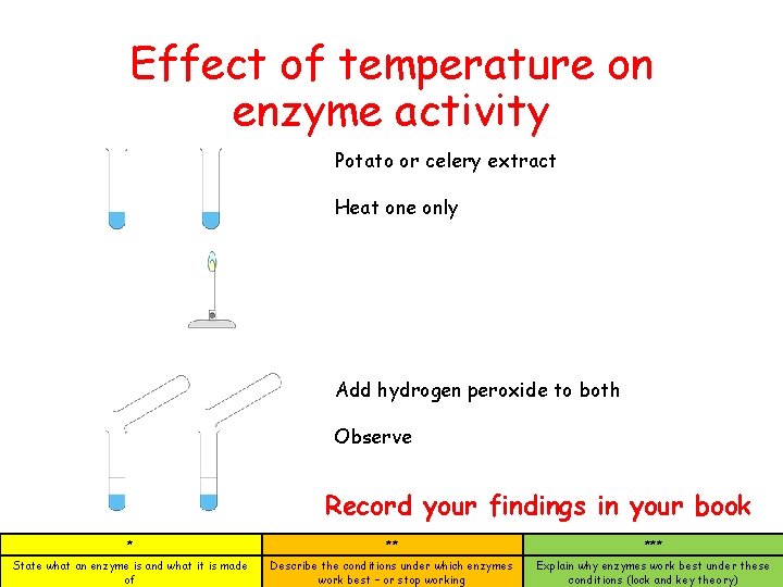 Effect of temperature on enzyme activity Potato or celery extract Heat one only Add