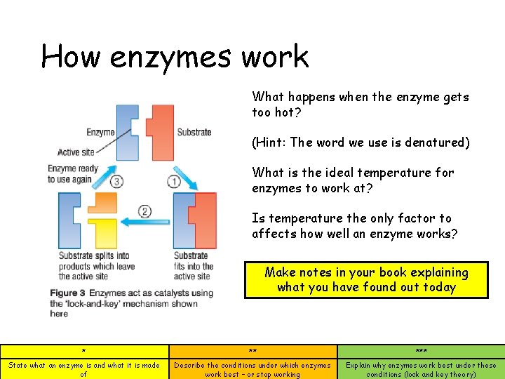 How enzymes work What happens when the enzyme gets too hot? (Hint: The word