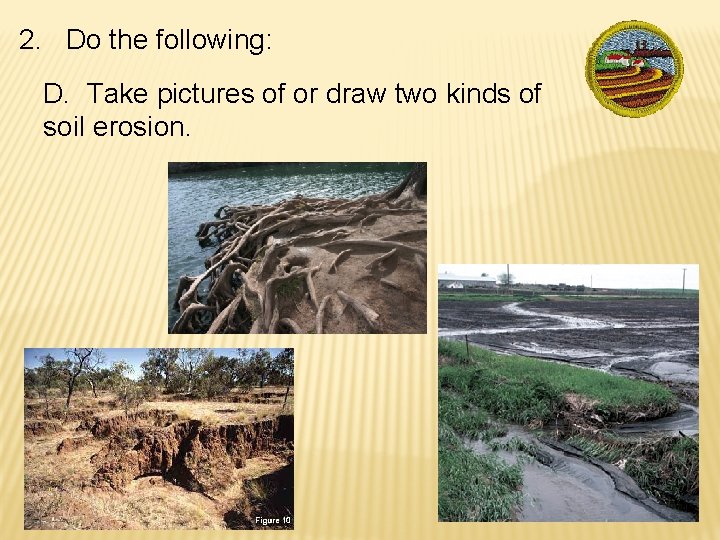 2. Do the following: D. Take pictures of or draw two kinds of soil