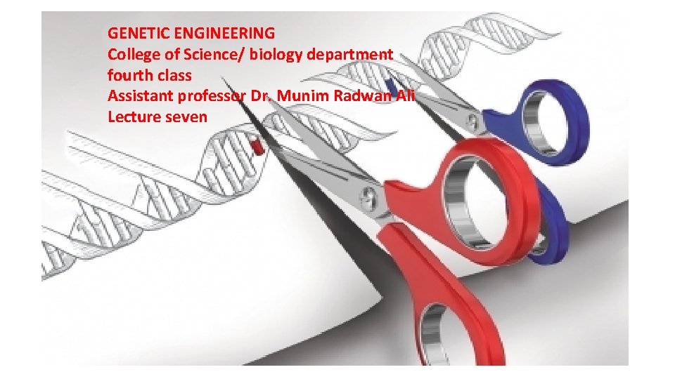 GENETIC ENGINEERING College of Science/ biology department fourth class Assistant professor Dr. Munim Radwan