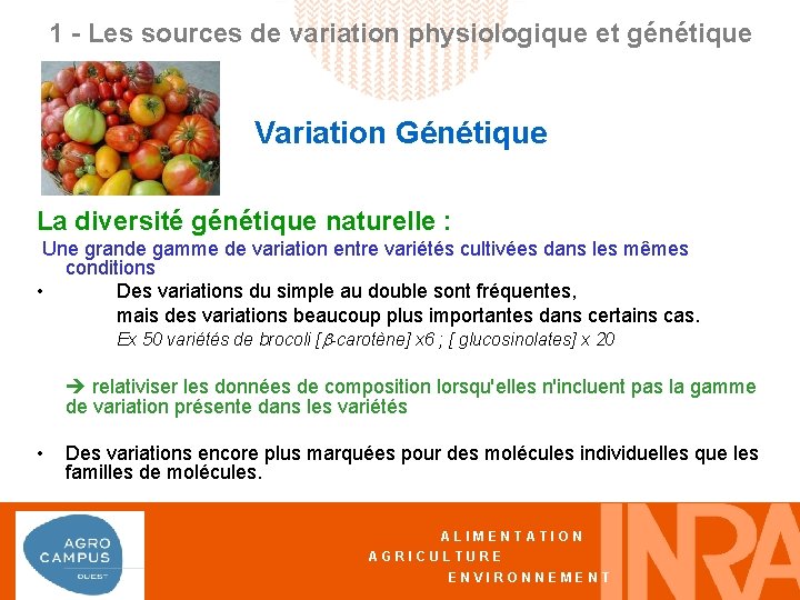 1 - Les sources de variation physiologique et génétique Variation Génétique La diversité génétique