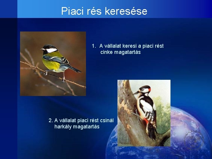 Piaci rés keresése 1. A vállalat keresi a piaci rést cinke magatartás 2. A