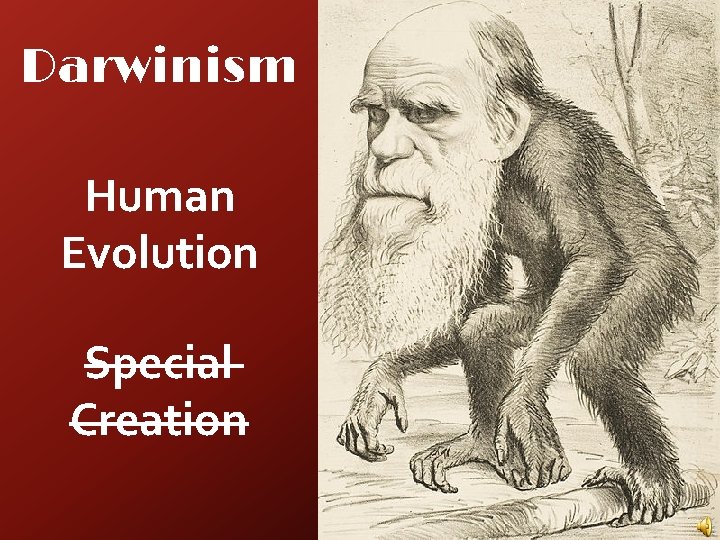 Darwinism Human Evolution Special Creation 