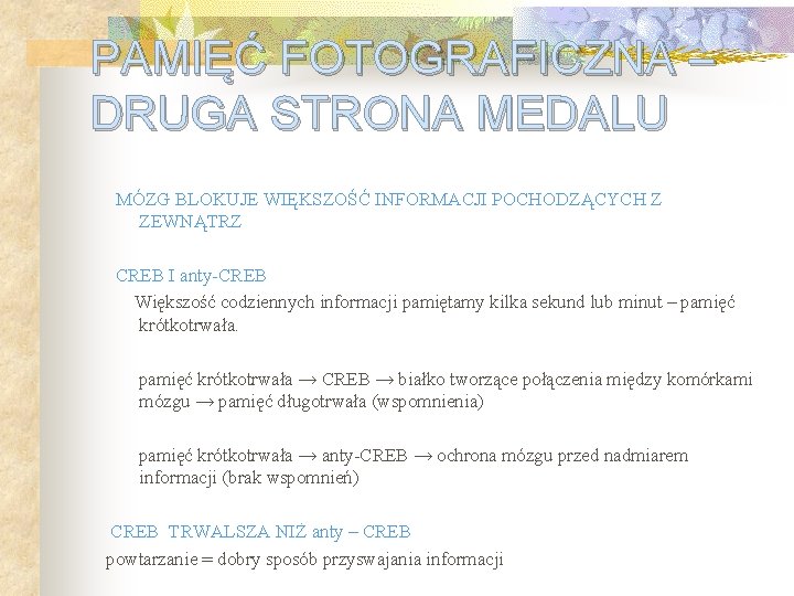 PAMIĘĆ FOTOGRAFICZNA – DRUGA STRONA MEDALU MÓZG BLOKUJE WIĘKSZOŚĆ INFORMACJI POCHODZĄCYCH Z ZEWNĄTRZ CREB