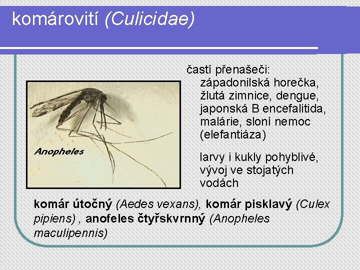 komárovití (Culicidae) častí přenašeči: západonilská horečka, žlutá zimnice, dengue, japonská B encefalitida, malárie, sloní