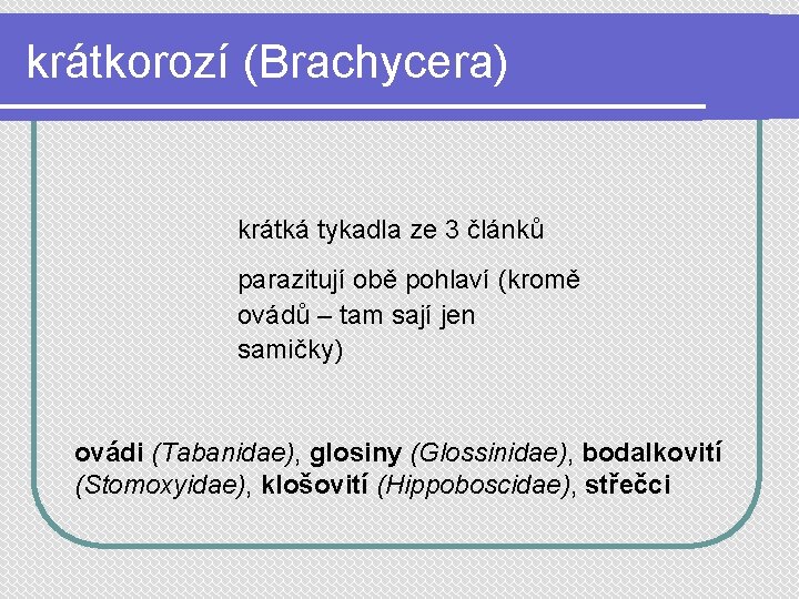 krátkorozí (Brachycera) krátká tykadla ze 3 článků parazitují obě pohlaví (kromě ovádů – tam