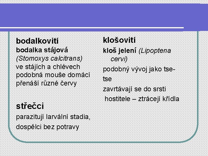 bodalkovití klošovití bodalka stájová (Stomoxys calcitrans) ve stájích a chlévech podobná mouše domácí přenáší