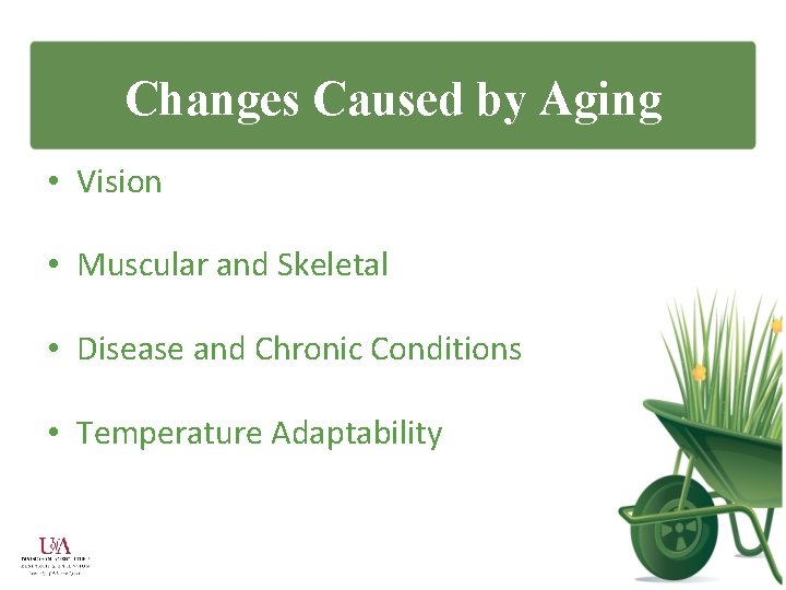 Changes Caused by Aging • Vision • Muscular and Skeletal • Disease and Chronic