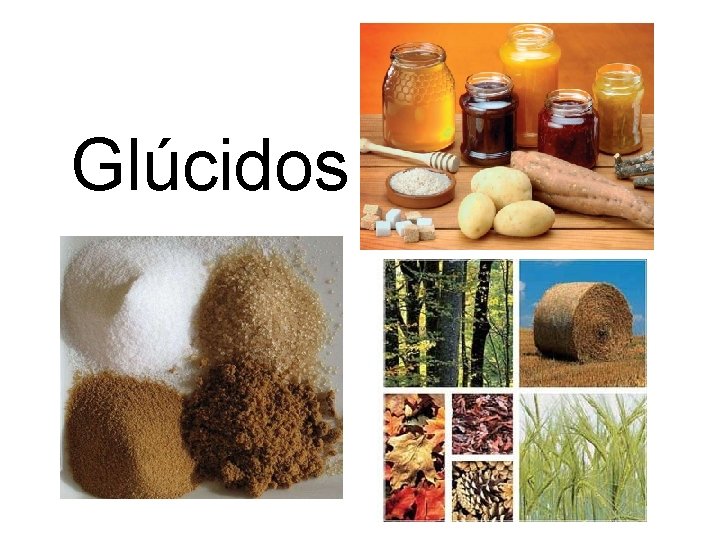 Glúcidos 