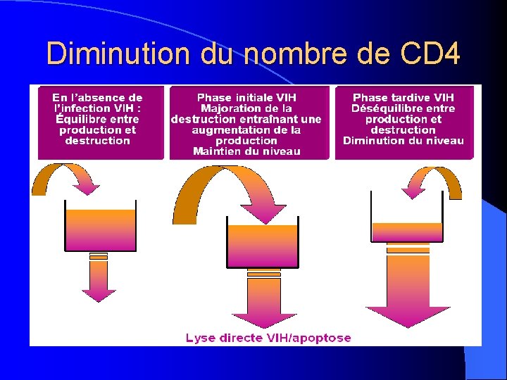 Diminution du nombre de CD 4 