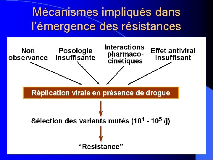 Mécanismes impliqués dans l’émergence des résistances 