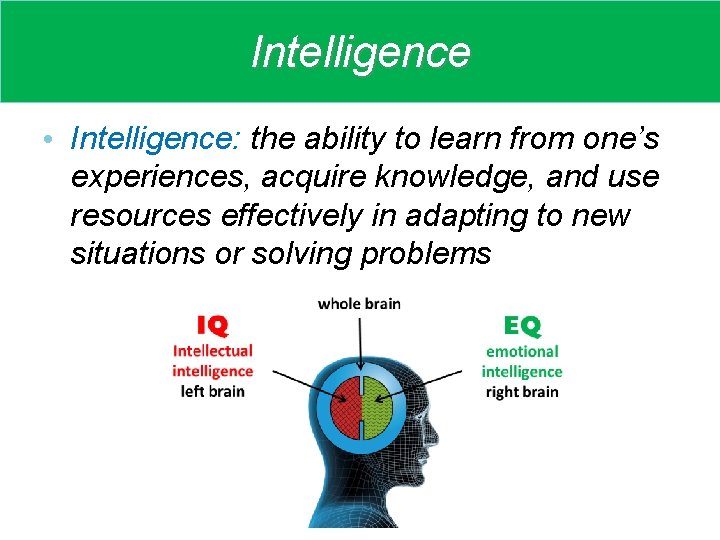 Intelligence • Intelligence: the ability to learn from one’s experiences, acquire knowledge, and use