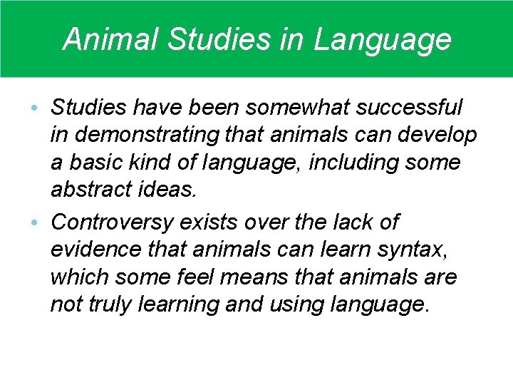 Animal Studies in Language • Studies have been somewhat successful in demonstrating that animals