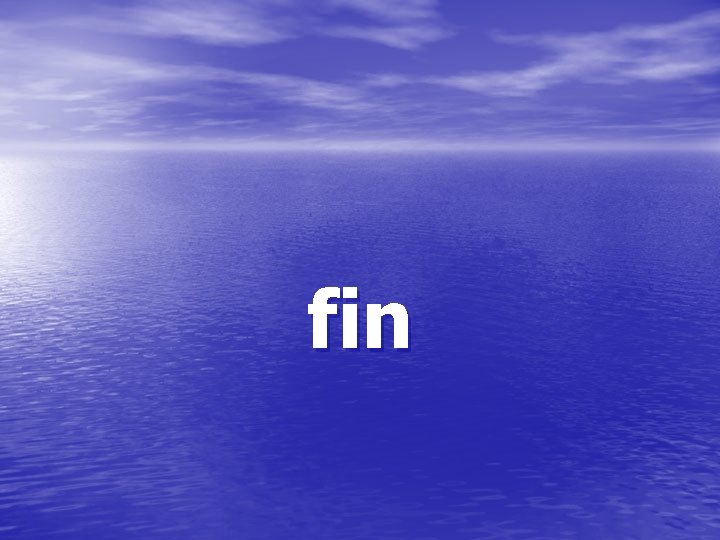 fin 