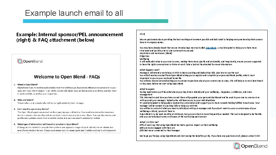 Example launch email to all Example: Internal sponsor/PEL announcement (right) & FAQ attachment (below)
