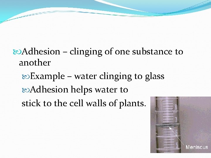  Adhesion – clinging of one substance to another Example – water clinging to