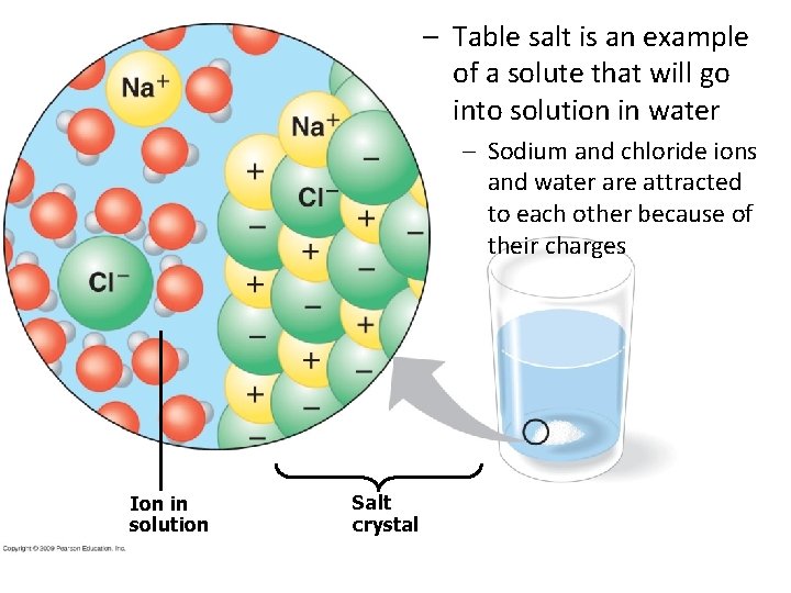 – Table salt is an example of a solute that will go into solution