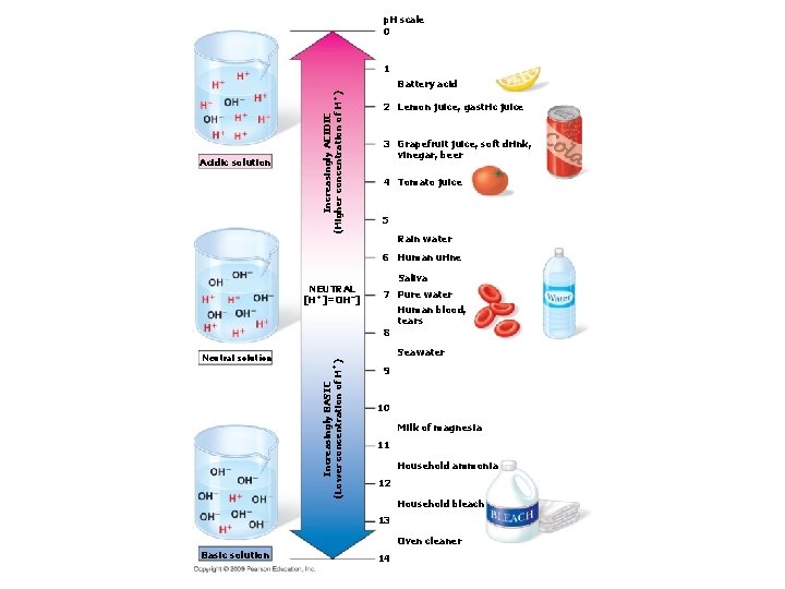 p. H scale 0 1 Acidic solution Increasingly ACIDIC (Higher concentration of H+) Battery