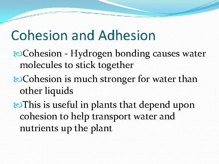 Cohesion and Adhesion Cohesion - Hydrogen bonding causes water molecules to stick together Cohesion