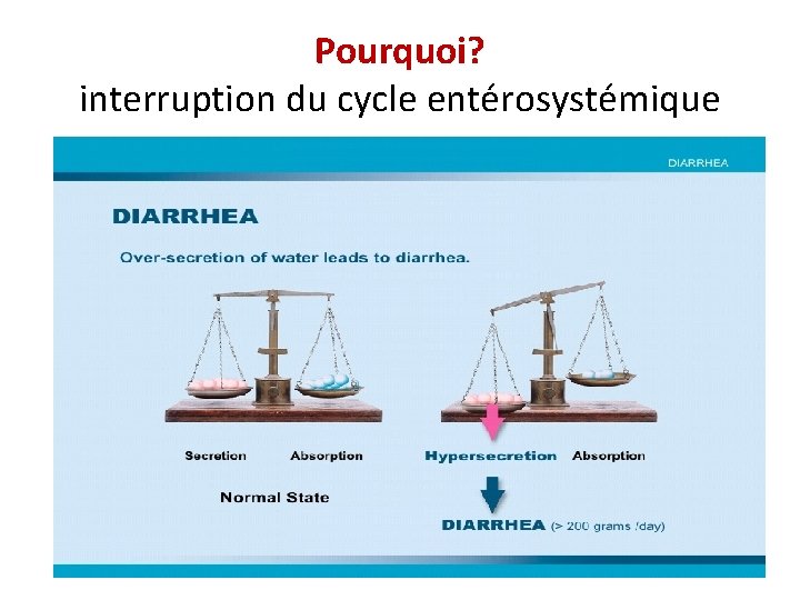 Pourquoi? interruption du cycle entérosystémique 