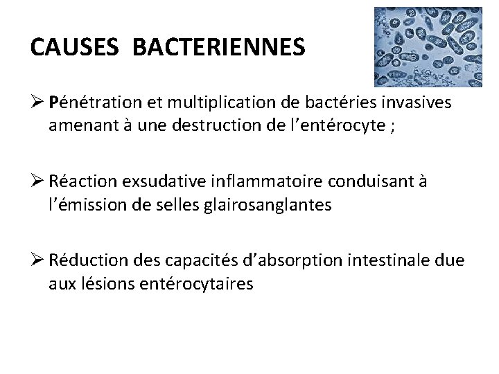 CAUSES BACTERIENNES Ø Pénétration et multiplication de bactéries invasives amenant à une destruction de