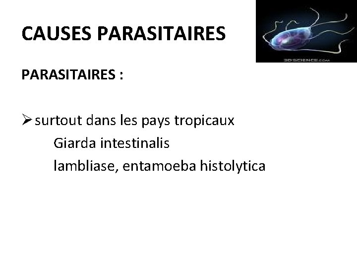 CAUSES PARASITAIRES : Ø surtout dans les pays tropicaux Giarda intestinalis lambliase, entamoeba histolytica