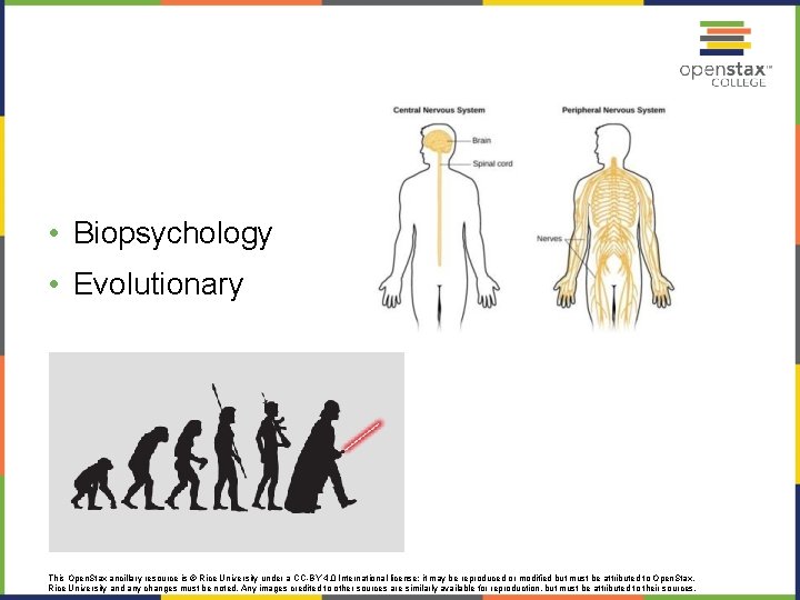  • Biopsychology • Evolutionary This Open. Stax ancillary resource is © Rice University