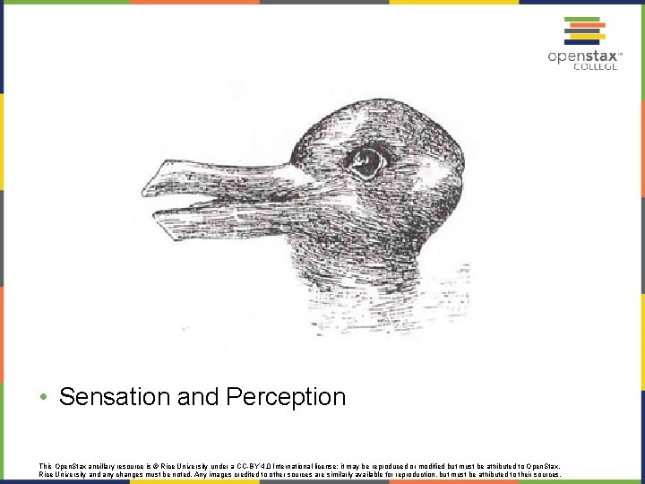  • Sensation and Perception This Open. Stax ancillary resource is © Rice University