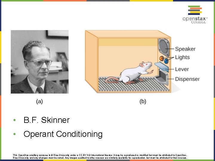  • B. F. Skinner • Operant Conditioning This Open. Stax ancillary resource is