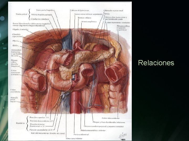 Relaciones Relaciones