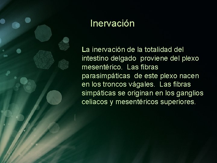 Inervación La inervación de la totalidad del intestino delgado proviene del plexo mesentérico. Las Inervación La inervación de la totalidad del intestino delgado proviene del plexo mesentérico. Las