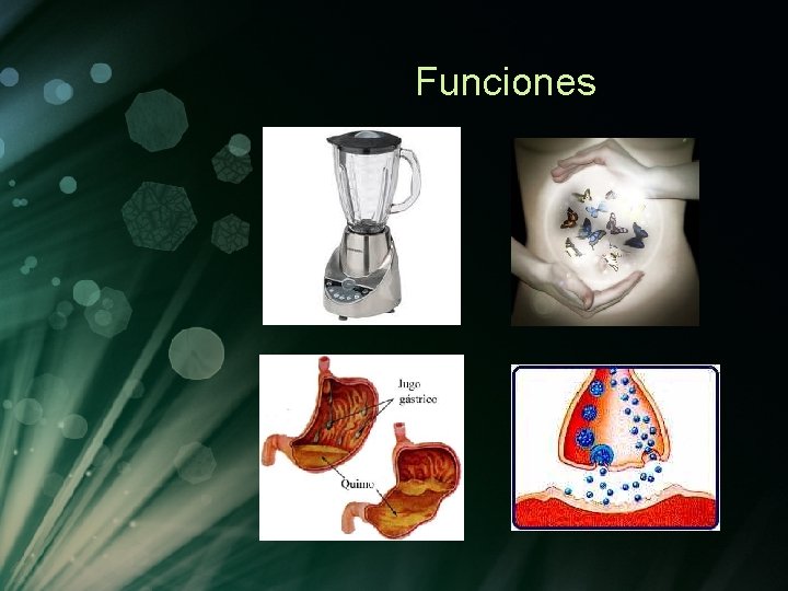 Funciones Funciones