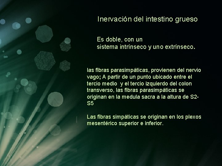 Inervación del intestino grueso Es doble, con un sistema intrínseco y uno extrínseco. las Inervación del intestino grueso Es doble, con un sistema intrínseco y uno extrínseco. las
