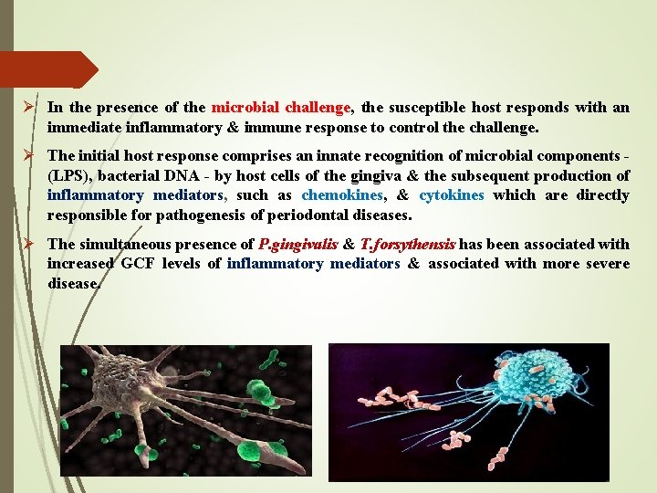 Ø In the presence of the microbial challenge, the susceptible host responds with an