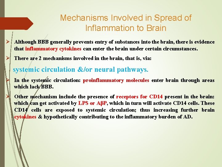 Mechanisms Involved in Spread of Inflammation to Brain Ø Although BBB generally prevents entry