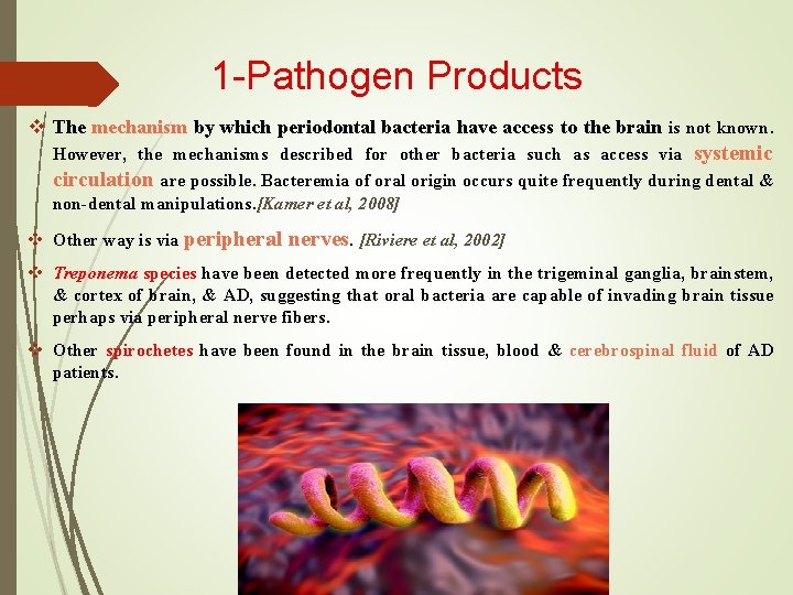 1 -Pathogen Products v The mechanism by which periodontal bacteria have access to the