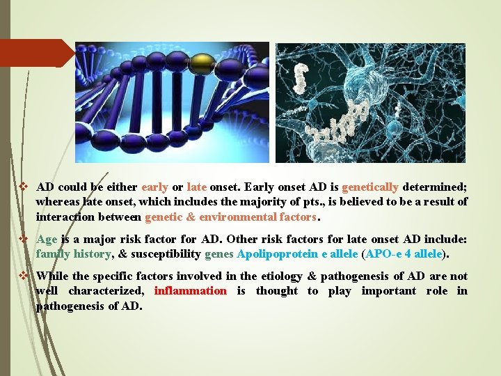 v AD could be either early or late onset. Early onset AD is genetically