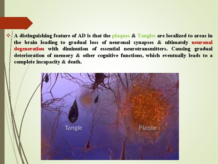 v A distinguishing feature of AD is that the plaques & Tangles are localized