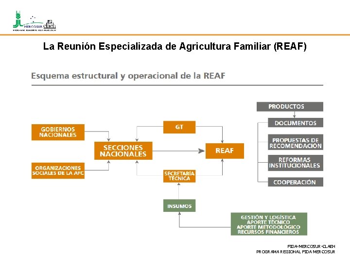 La Reunión Especializada de Agricultura Familiar (REAF) FIDA-MERCOSUR-CLAEH PROGRAMA REGIONAL FIDA MERCOSUR 