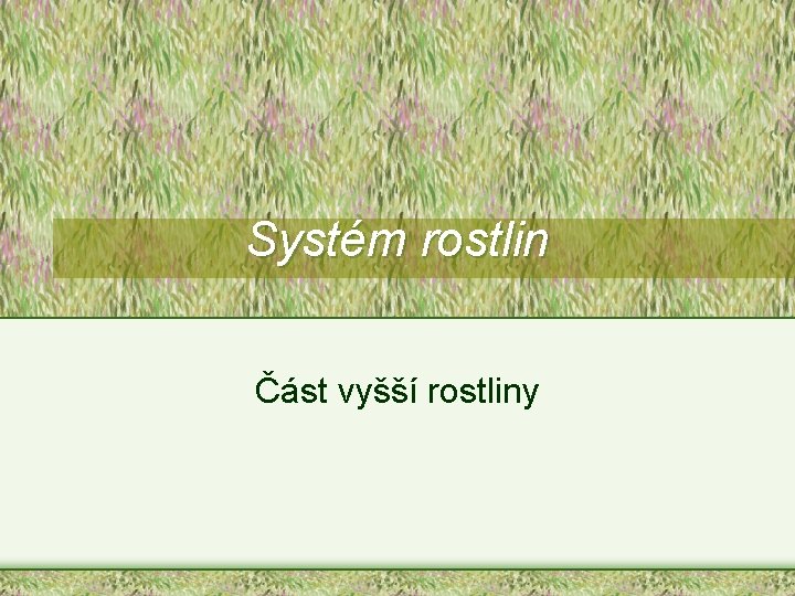 Systém rostlin Část vyšší rostliny Systém rostlin Část vyšší rostliny