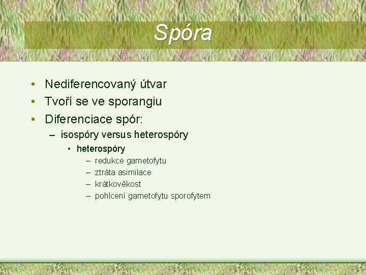 Spóra • Nediferencovaný útvar • Tvoří se ve sporangiu • Diferenciace spór: – isospóry Spóra • Nediferencovaný útvar • Tvoří se ve sporangiu • Diferenciace spór: – isospóry