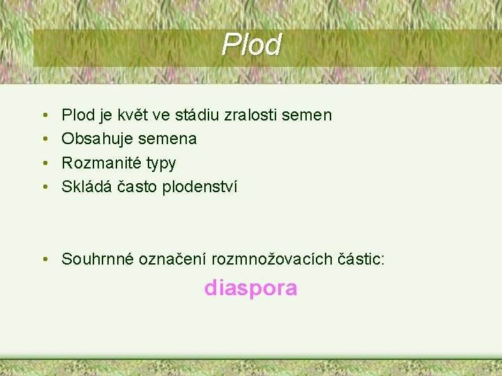 Plod • • Plod je květ ve stádiu zralosti semen Obsahuje semena Rozmanité typy Plod • • Plod je květ ve stádiu zralosti semen Obsahuje semena Rozmanité typy