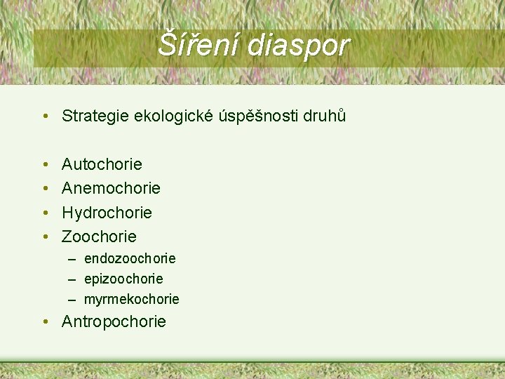 Šíření diaspor • Strategie ekologické úspěšnosti druhů • • Autochorie Anemochorie Hydrochorie Zoochorie – Šíření diaspor • Strategie ekologické úspěšnosti druhů • • Autochorie Anemochorie Hydrochorie Zoochorie –